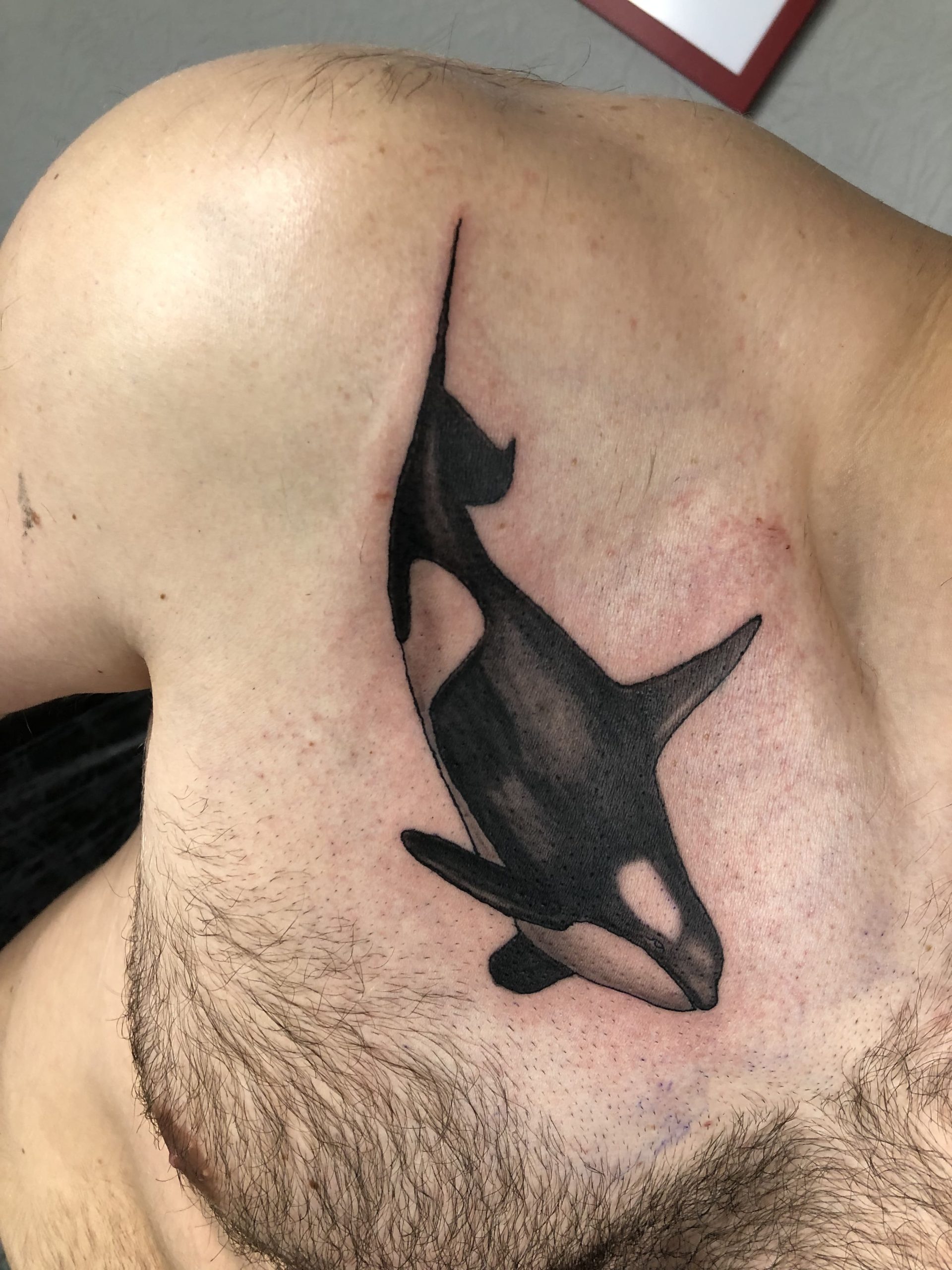 Matthew More - Tattoo & Piercing Nürnberg